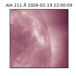 saia - 2026-02-19T22:00:09.618000