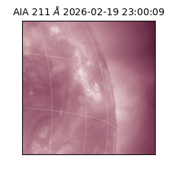 saia - 2026-02-19T23:00:09.626000