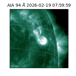 saia - 2026-02-19T07:59:59.122000