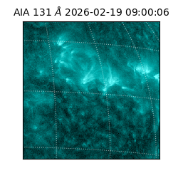 saia - 2026-02-19T09:00:06.630000