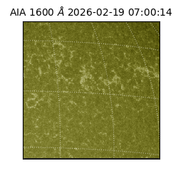 saia - 2026-02-19T07:00:14.126000