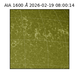 saia - 2026-02-19T08:00:14.125000