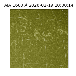 saia - 2026-02-19T10:00:14.125000