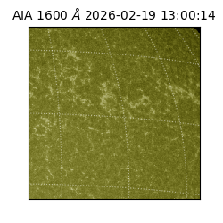 saia - 2026-02-19T13:00:14.126000