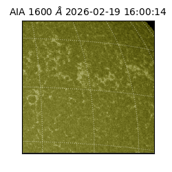 saia - 2026-02-19T16:00:14.126000