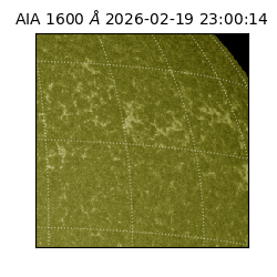 saia - 2026-02-19T23:00:14.126000