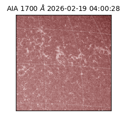 saia - 2026-02-19T04:00:28.717000