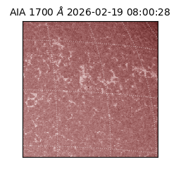 saia - 2026-02-19T08:00:28.717000