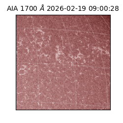 saia - 2026-02-19T09:00:28.717000