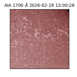 saia - 2026-02-19T13:00:28.743000