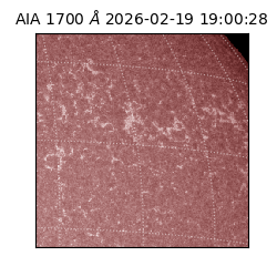 saia - 2026-02-19T19:00:28.717000