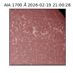 saia - 2026-02-19T21:00:28.713000