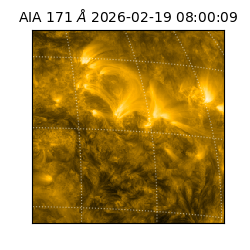 saia - 2026-02-19T08:00:09.353000