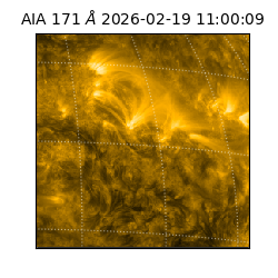 saia - 2026-02-19T11:00:09.353000