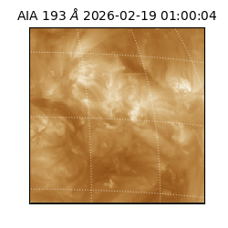 saia - 2026-02-19T01:00:04.843000