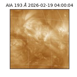 saia - 2026-02-19T04:00:04.843000