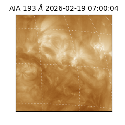 saia - 2026-02-19T07:00:04.843000