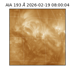 saia - 2026-02-19T08:00:04.842000