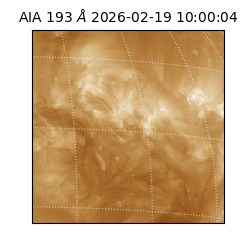 saia - 2026-02-19T10:00:04.843000