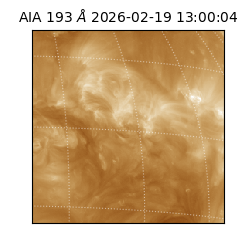 saia - 2026-02-19T13:00:04.843000