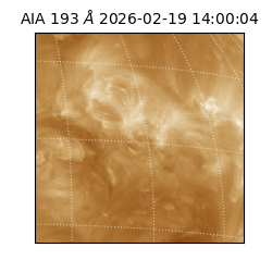 saia - 2026-02-19T14:00:04.843000