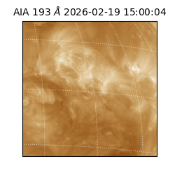 saia - 2026-02-19T15:00:04.843000