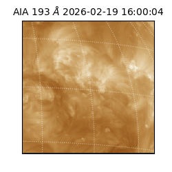 saia - 2026-02-19T16:00:04.843000