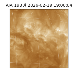 saia - 2026-02-19T19:00:04.843000