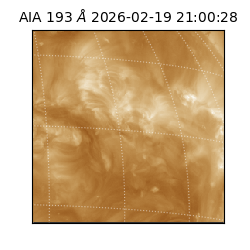 saia - 2026-02-19T21:00:28.839000