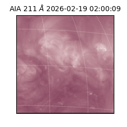 saia - 2026-02-19T02:00:09.626000