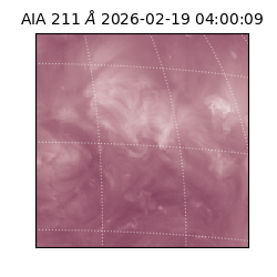 saia - 2026-02-19T04:00:09.625000
