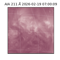 saia - 2026-02-19T07:00:09.633000