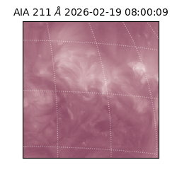 saia - 2026-02-19T08:00:09.632000