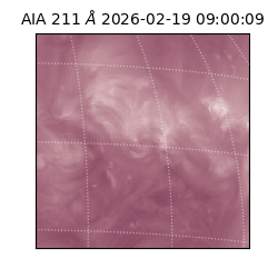 saia - 2026-02-19T09:00:09.632000