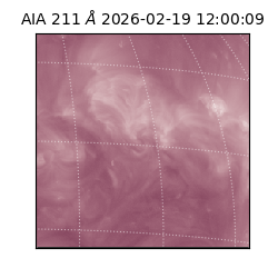 saia - 2026-02-19T12:00:09.624000