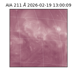 saia - 2026-02-19T13:00:09.627000