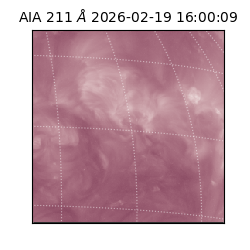 saia - 2026-02-19T16:00:09.630000