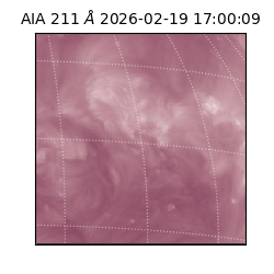 saia - 2026-02-19T17:00:09.619000