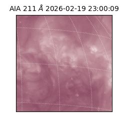 saia - 2026-02-19T23:00:09.626000