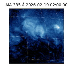 saia - 2026-02-19T02:00:00.632000