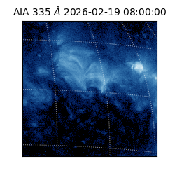 saia - 2026-02-19T08:00:00.619000