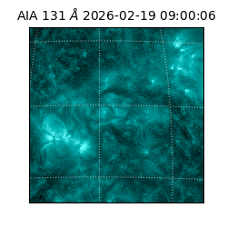 saia - 2026-02-19T09:00:06.630000