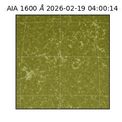 saia - 2026-02-19T04:00:14.131000