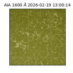 saia - 2026-02-19T13:00:14.126000