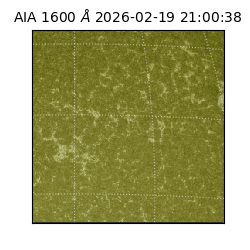 saia - 2026-02-19T21:00:38.117000