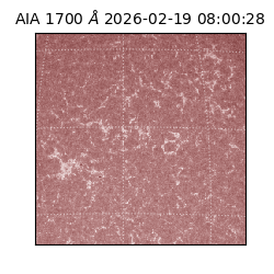 saia - 2026-02-19T08:00:28.717000