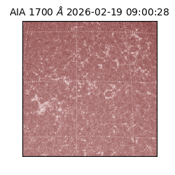 saia - 2026-02-19T09:00:28.717000