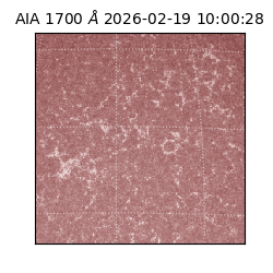 saia - 2026-02-19T10:00:28.717000