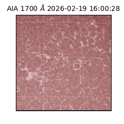 saia - 2026-02-19T16:00:28.717000