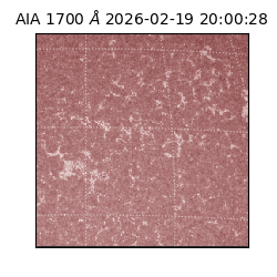 saia - 2026-02-19T20:00:28.737000